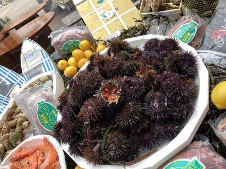 Plateaux de fruits de mer Aubagne